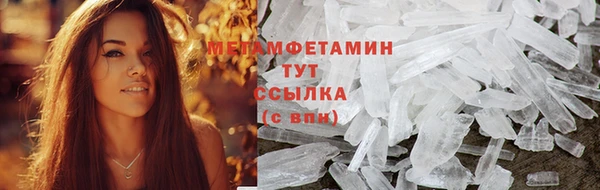 прущие грибы Белокуриха