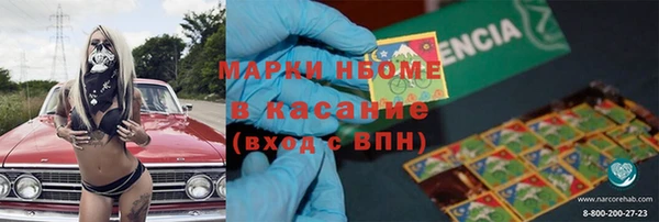 прущие грибы Белокуриха