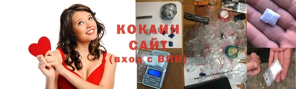 прущие грибы Белокуриха