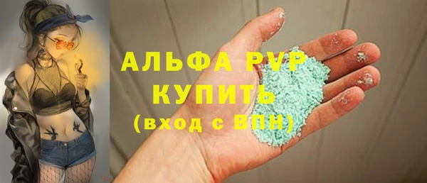 прущие грибы Белокуриха