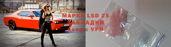 прущие грибы Белокуриха
