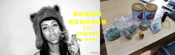 прущие грибы Белокуриха